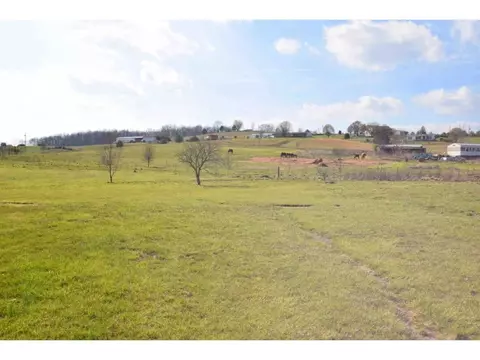 75 Morrison Road Chuckey Tn 37641, Chuckey, TN 37641 photo 29