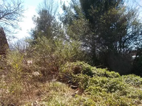 640 Arrowhead Loop Midway Tn 37809, Midway, TN 37809 photo 15