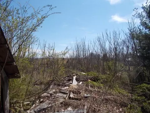 640 Arrowhead Loop Midway Tn 37809, Midway, TN 37809 photo 12
