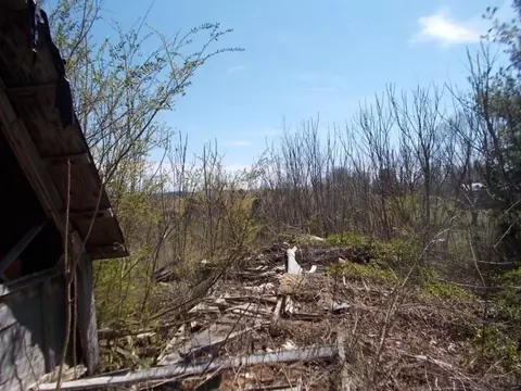640 Arrowhead Loop Midway Tn 37809, Midway, TN 37809 photo 7