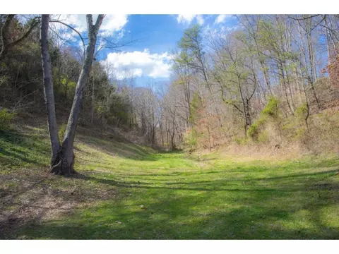 445 Horton Highway Fall Branch Tn 37656, Fall Branch, TN 37656 photo 6