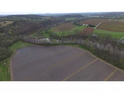 130 Rex Mccurry Road Limestone Tn 37681, Limestone, TN 37681 photo 29