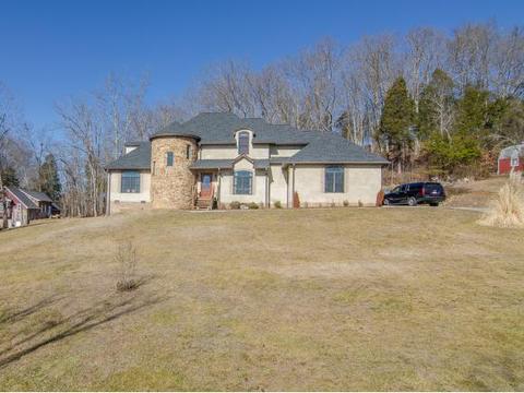372 Boring Chapel Rd, Gray, TN 37615 photo 1