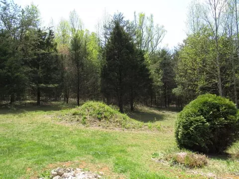 377 Ealey Road Greeneville Tn 37743, Greeneville, TN 37743 photo 23