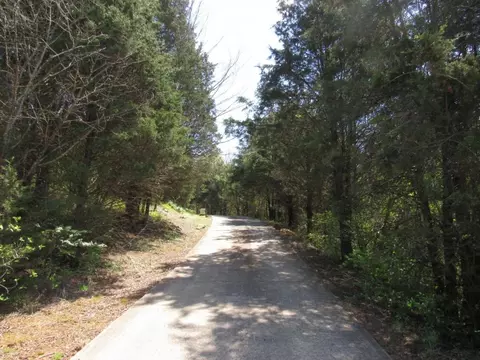 377 Ealey Road Greeneville Tn 37743, Greeneville, TN 37743 photo 17