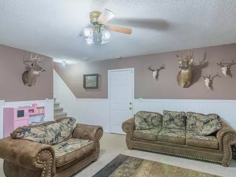 116 Bauchman Drive Gray Tn 37615, Gray, TN 37615 photo 24