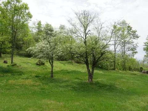 129 Warren Saults Road Chuckey Tn 37641, Chuckey, TN 37641 photo 2