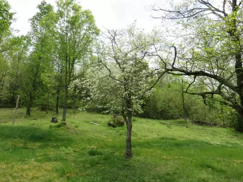 129 Warren Saults Road Chuckey Tn 37641, Chuckey, TN 37641 photo 11