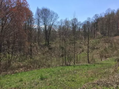 7416 Strawberry Mountain Road Wise Va 24293, Wise, VA 24293 photo 14
