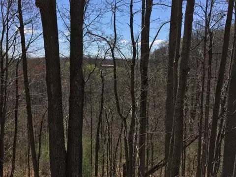 7416 Strawberry Mountain Road Wise Va 24293, Wise, VA 24293 photo 2