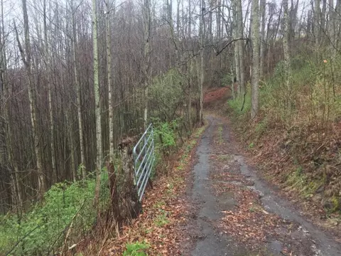 7416 Strawberry Mountain Road Wise Va 24293, Wise, VA 24293 photo 15