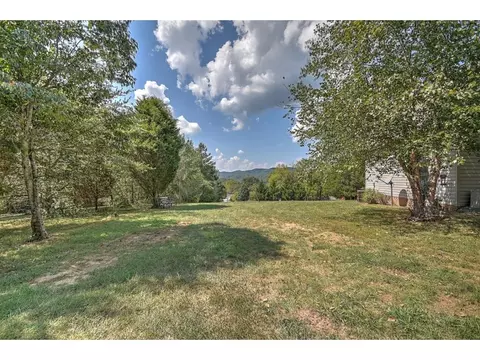 132 Morgan Lane Fall Branch Tn 37656, Fall Branch, TN 37656 photo 33
