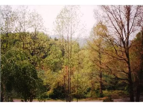 315 Fishery Loop Road Erwin Tn 37650, Erwin, TN 37650 photo 4