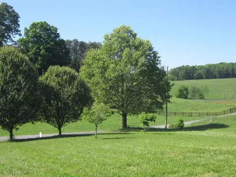 168 Brobeck Limestone Tn 37681, Limestone, TN 37681 photo 3