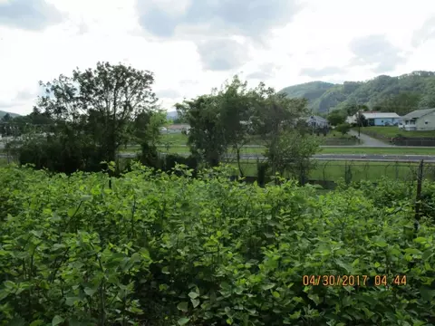 514 Adams Street Erwin Tn 37650, Erwin, TN 37650 photo 12