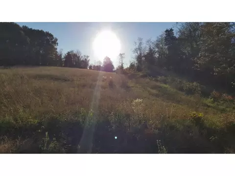 1115 Highway 93 Fall Branch Tn 37656, Fall Branch, TN 37656 photo 20