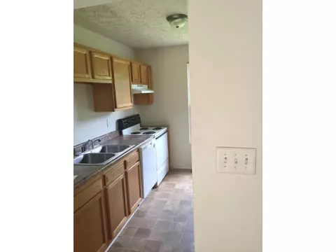 1136 Snowden Terrace Johnson City Tn 37601, Johnson City, TN 37601 photo 4