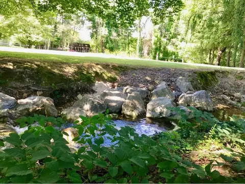 39 Jones Road Erwin Tn 37650, Erwin, TN 37650 photo 29