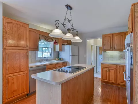 218 Bart Greene Drive Gray Tn 37615, Gray, TN 37615 photo 16