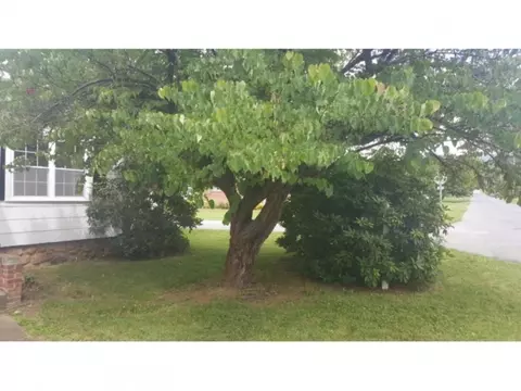 415 Ninth Street Erwin Tn 37650, Erwin, TN 37650 photo 30
