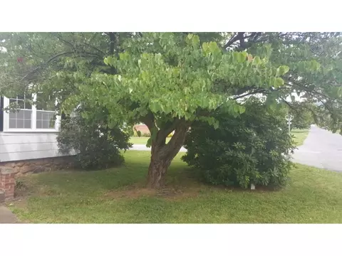 415 Ninth Street Erwin Tn 37650, Erwin, TN 37650 photo 11