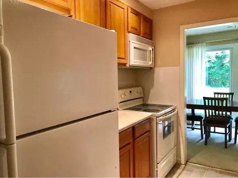 1817 Mcclellan Drive Johnson City Tn 37604, Johnson City, TN 37604 photo 14