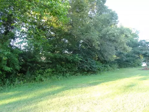 157 Snyder Road Gray Tn 37615, Gray, TN 37615 photo 36