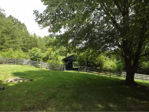 1195 Ryan Road Fall Branch Tn 37656, Fall Branch, TN 37656 photo 6