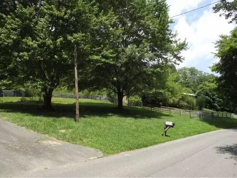 1195 Ryan Road Fall Branch Tn 37656, Fall Branch, TN 37656 photo 4