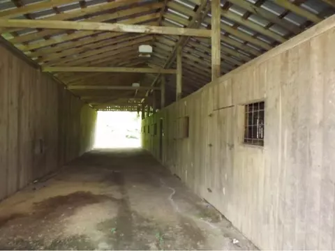 1195 Ryan Road Fall Branch Tn 37656, Fall Branch, TN 37656 photo 12