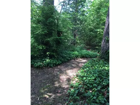 500 Ash Street Erwin Tn 37650, Erwin, TN 37650 photo 29