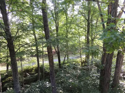 240 Ridge Road Eidson Tn 37731, Eidson, TN 37731 photo 6