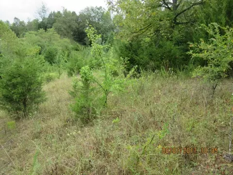 2160 Flea Ridge Road Mohawk Tn 37810, Mohawk, TN 37810 photo 27