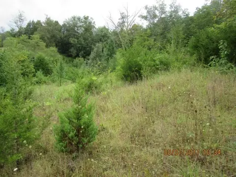 2160 Flea Ridge Road Mohawk Tn 37810, Mohawk, TN 37810 photo 25