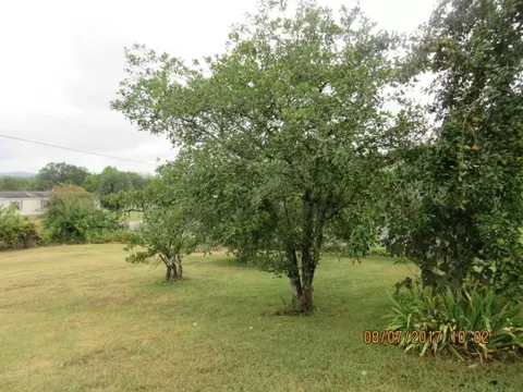 2160 Flea Ridge Road Mohawk Tn 37810, Mohawk, TN 37810 photo 21