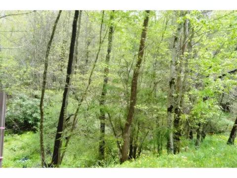 738 Fairview Hampton Tn 37658, Hampton, TN 37658 photo 7