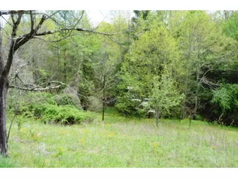 738 Fairview Hampton Tn 37658, Hampton, TN 37658 photo 5
