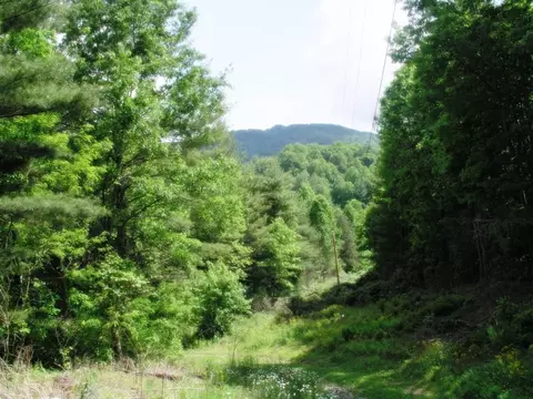 738 Fairview Hampton Tn 37658, Hampton, TN 37658 photo 4