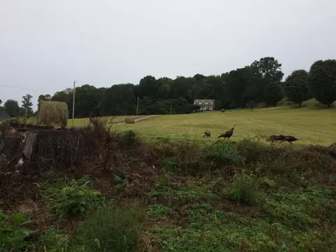 254 Buckingham Road Gray Tn 37615, Gray, TN 37615 photo 33