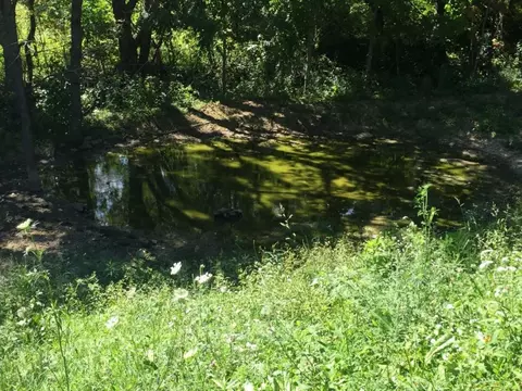 460 Fork Branch Vilas Nc 28692, Vilas, NC 28692 photo 11