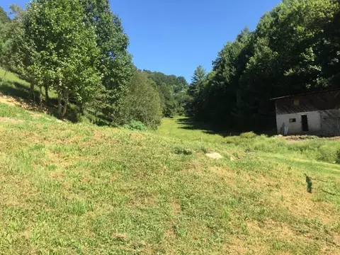 460 Fork Branch Vilas Nc 28692, Vilas, NC 28692 photo 6