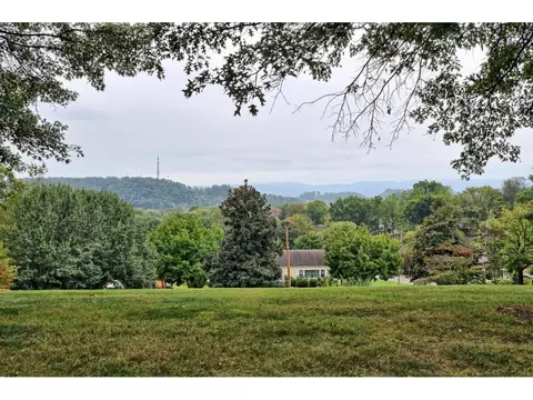 501 10th Avenue Johnson City Tn 37601, Johnson City, TN 37601 photo 6