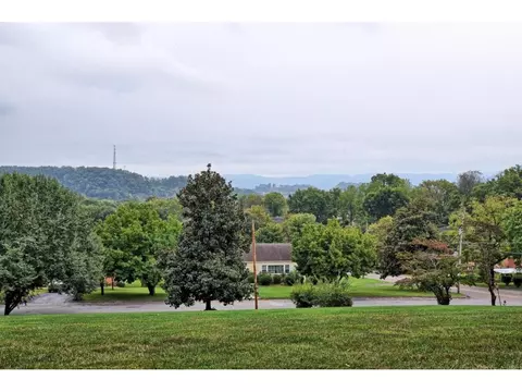501 10th Avenue Johnson City Tn 37601, Johnson City, TN 37601 photo 8