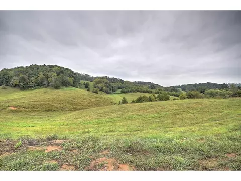115 Harmony Circle Greeneville Tn 37745, Greeneville, TN 37745 photo 29