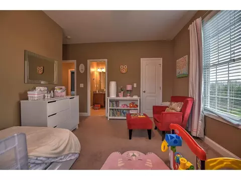 9 Grace Meadows Court Gray Tn 37615, Gray, TN 37615 photo 25