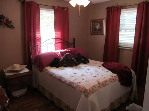 141 Carroll Drive Gray Tn 37615, Gray, TN 37615 photo 9