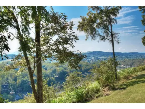 175 Mcafee Bluff Johnson City Tn 37615, Johnson City, TN 37615 photo 35