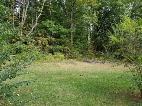 429 Juniper Street Greeneville Tn 37745, Greeneville, TN 37745 photo 6