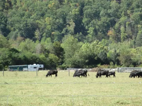 1775 Chestoa Pike Erwin Tn 37650, Erwin, TN 37650 photo 27