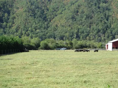 1775 Chestoa Pike Erwin Tn 37650, Erwin, TN 37650 photo 22